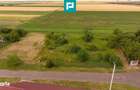Teren intravilan de 596mp in Cicir, Vladimirescu