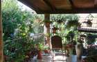 Vand 2 case + 2 spa?ii comerciale - 8