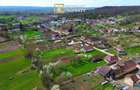 Colț de natură: casă + teren mare în Săvârșin - 2