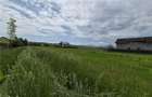 Teren Intravilan - Zona Bod - 6