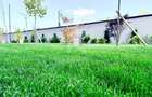 2 Camere Pallady | FINALIZAT | Astorium Bloc A | Oferta l... - 15