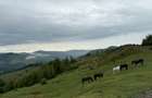 Teren intravilan de 3600 mp, în Drajna - 5