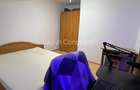 Apartament cu 2 camere decomandat în Lazaret - 3 Apartament cu 2 camere decomandat în Lazaret - 3