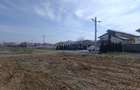 Teren Construcții intravilan de 1000 mp, în Sud - 3
