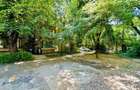 Apartament cu 2 camere decomandat în Parcul Carol - 19