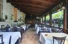 vand vila si restaurant 699000 euro cismigiu universitate atenrul roman - 19