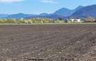 Teren intravilan de 49906 mp, în Stupini - 2