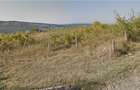 Teren Urla?i, Str. Orzoaia de Sus, 1000m/2, intabulat ?i cadastrat - 1