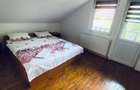 Casa de vacanta cu 5 camere si iesire la rau in Raul Sadului - 16