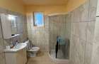 Casa de vanzare, judetul Timis - 4