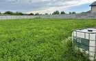 Teren intravilan Fundulea-Str.Mircea Nedelciu - 10