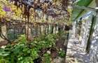 C/1593 De vanzare casa singur in curte in Tg Mures - 7 Noiembrie