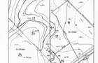 Teren intravilan de vanzare in Snagov, 995 mp, Langa Padure!