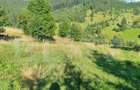 Teren de 2500 mp, în Central - 7