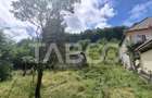 Teren extravilan de 2500 mp, în Rășinari - 5