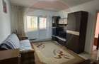 Apartament Brazda la 2 minute de Baba Novac - 6