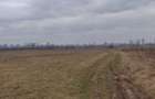 17 ha terenuri agricole la Goiesti judetul Dolj - 1