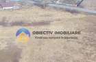 Teren 3.035 mp – BODEȘTI - 4