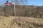 Casa si anexe cu un teren de 7701 mp de vanzare in Stauini Jud Alba - 13