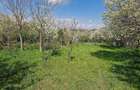 Vand teren intravilan - 5