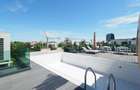 Apartament cu 5 camere decomandat în Kiseleff - 15