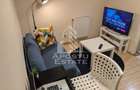 Apartament o camera, Petfriendly, clima, Take Ionescu, Timisoara - 2