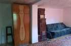 Casă cu 4 camere cu Teren 5131 Mp în Români - 7