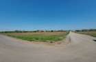 Teren de 583 mp, în Snagov - 5