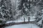 Vand 1\2 vila in Sinaia,cartier Furnica - 8