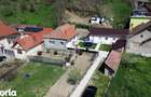 Casa de vanzare Vintu de Jos 4 camere, teren intravilan 4.700 mp, - 11