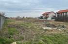 Teren Construcții de 842 mp, în Săcălaz - 3