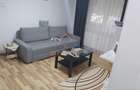 Apartament cu 2 camere semidecomandat în Valea Ialomiței - 5