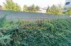 Apartament cu 2 camere decomandat în Iancu Nicolae - 18