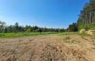 Teren Construcții intravilan de 1100 mp, în Făget - 5