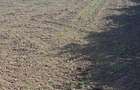 Proprietar - Vand 2 hectare la intrarea in Bencecu de Sus, front la drum asfaltat