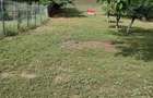 vand gradina de 1000 m. - 1