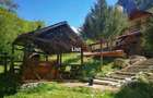 Casă cu 9 camere cu Teren 1029 Mp în Obârșia-Cloșani - 5