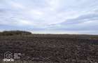 Teren agricol de vanzare, 17.900 mp, comuna Utvin - 3