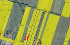 Teren intravilan 3.544 mp la DN1/E60 Uileacu de Cris, jud. Bihor - 1