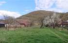 Casă cu 2 camere cu Teren 3000 Mp în Central - 5