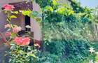Casă cu 3 camere în Ciacova - 14