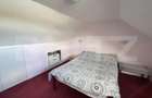 Casă cu Teren 4765 Mp în Bârsa - 15