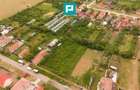 Teren 2400 mp - Tisa Noua, com. Fantanele - 2