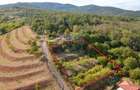 Teren Construcții intravilan de 1200 mp, în Micești - 6