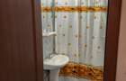Apartament cu 2 camere decomandat în Pantelimon - 6