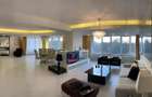 Apartament cu 4 camere semidecomandat în Herăstrău - 1