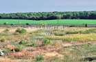 Teren Construcții de 91000 mp, în Snagov - 5