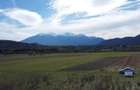 TEREN INTRAVILAN ZONA PENNY