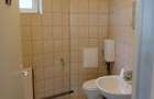 Spatiu 160 mp - atelier/depozit/productie - zona Clujana - 4