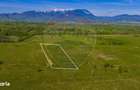 Teren 1ha, extravilan Rasnov / Agricultura sau ferma/ COMISION 0% - 6